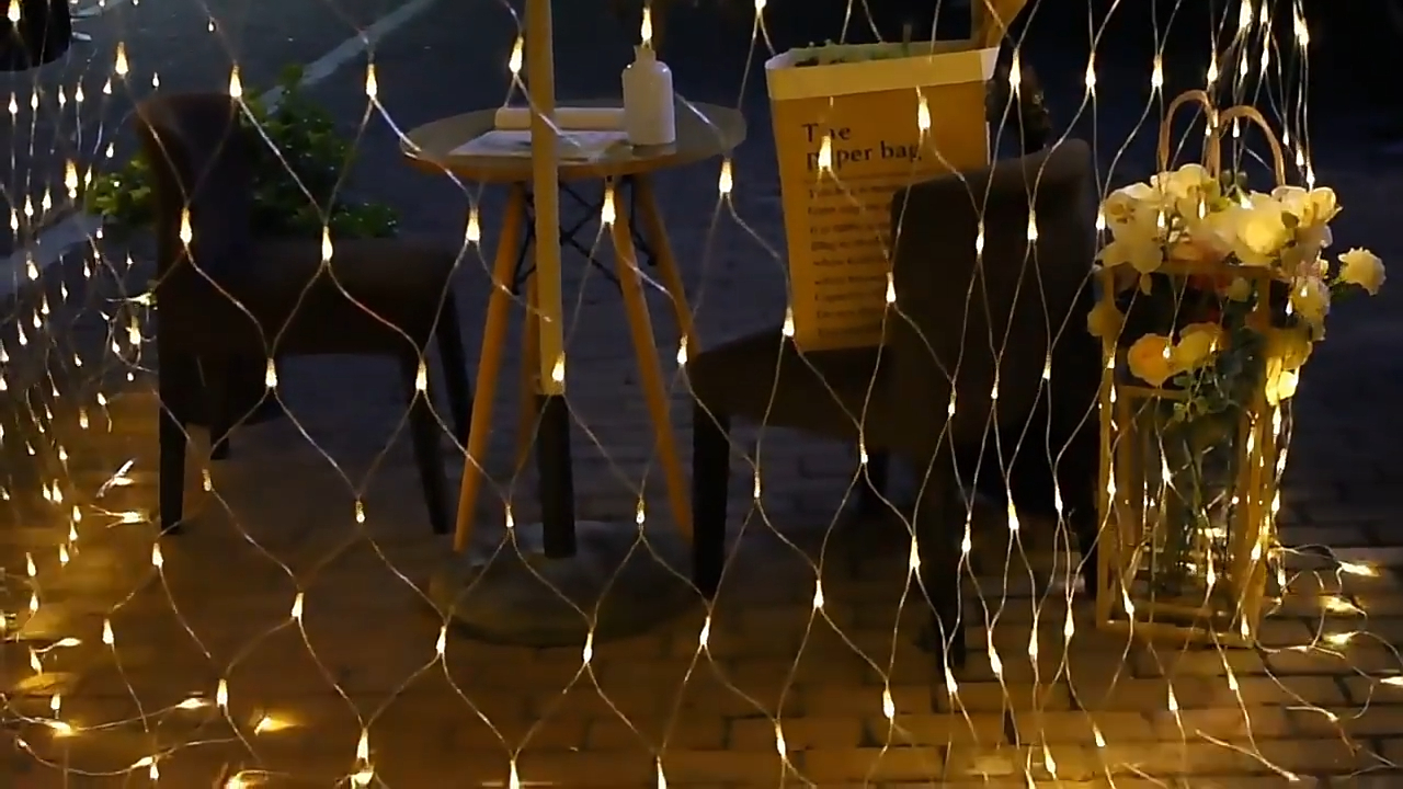 أضواء LED لشبكة الصيد مقاومة للماء في الهواء الطلق بارك شارع أضواء عيد الميلاد حزب Wenda Deco 1