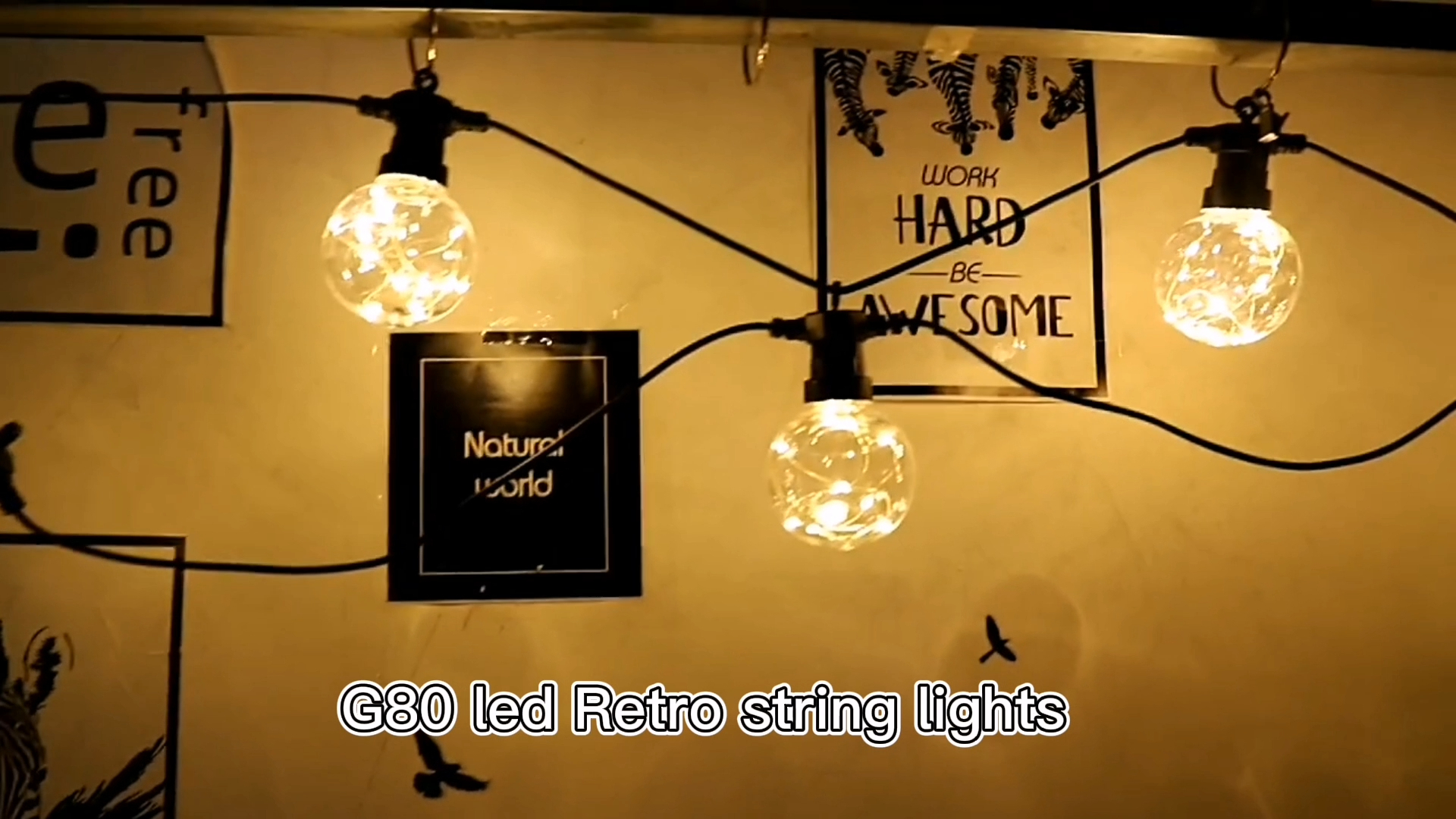 في الهواء الطلق G80 الأسلاك النحاسية مصباح LED سلسلة الأنوار المورد&amp; الشركات المصنعة | ويندا ديكو 1