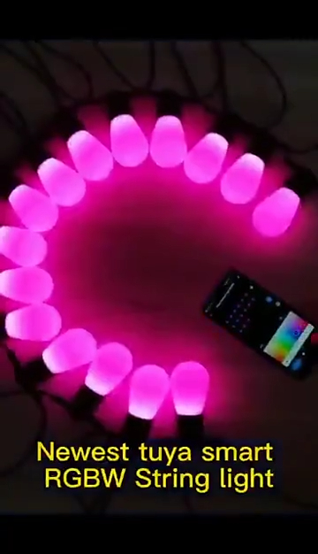  Christmas Decoration Remote Control RGB String Bulb Lights Products | Wenda Deco 