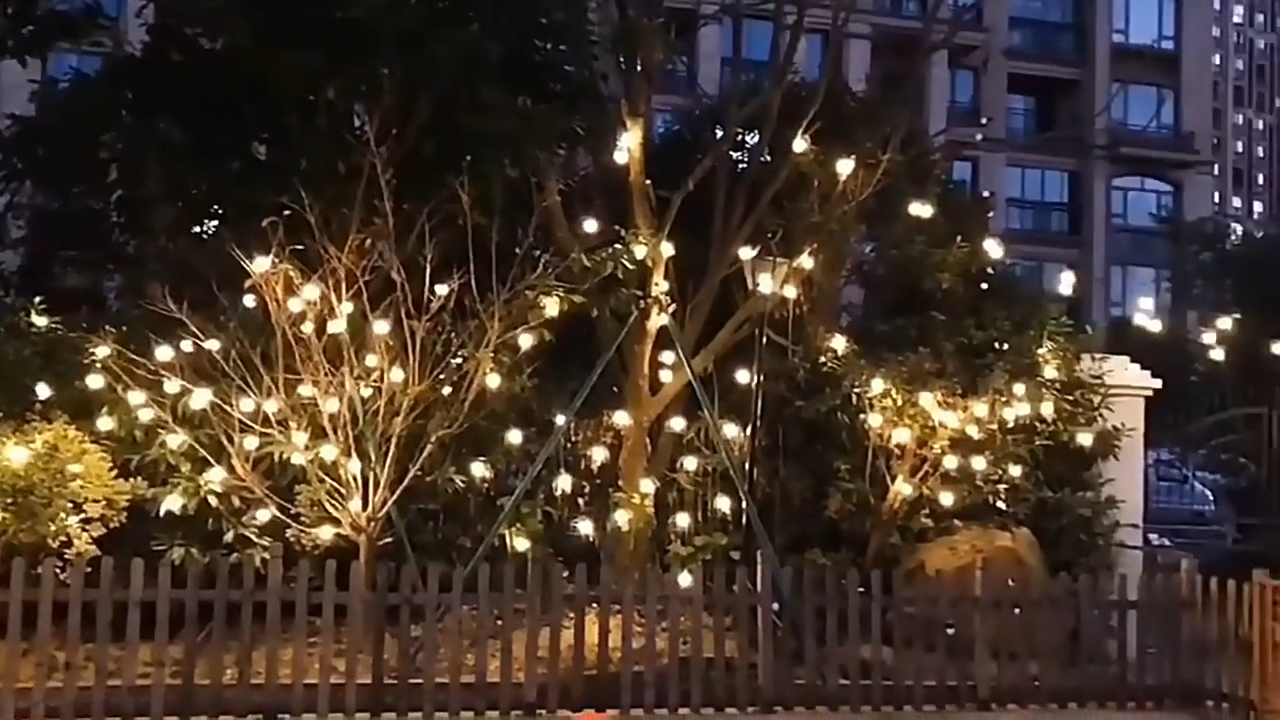 Intro to outdoor G50 bulb led festoon belt lights string lights for party decoration Wenda Deco 1
