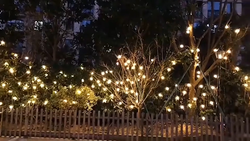  Intro to G50 bulb Led festoon christmas decoration party fairy string light Wenda Deco 