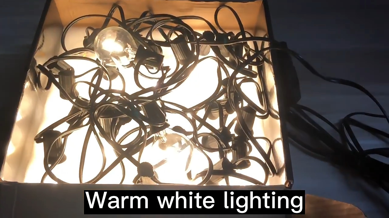  Wholesale G40 festoon lights with good price - Wenda Deco 