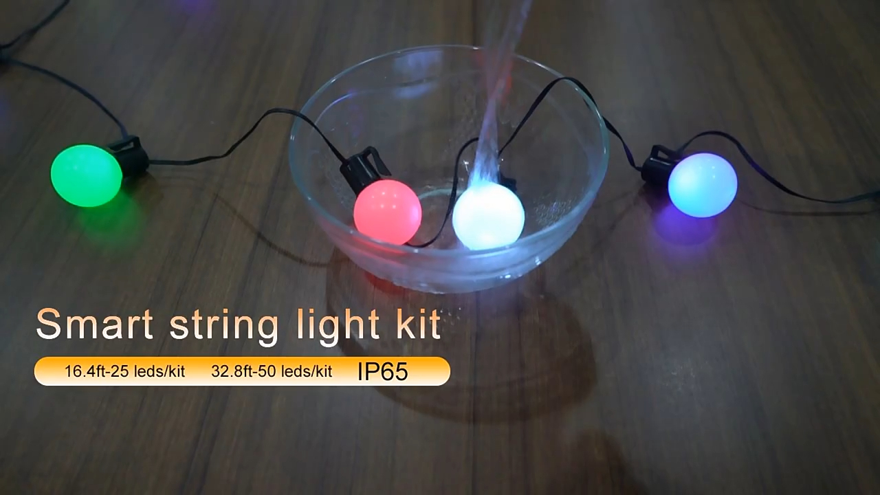 Hersteller von LED-Soffitten in China - Wenda Deco 1