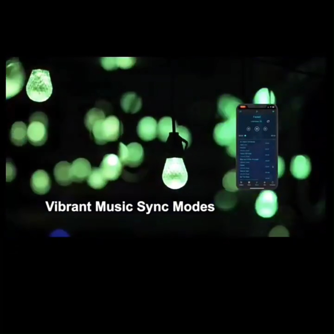  China RGB christmas lights manufacturers - Wenda Deco 