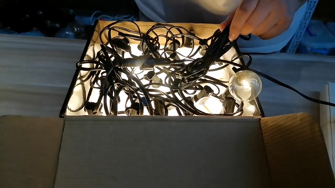  Professional 24v festoon lights manufacturers 