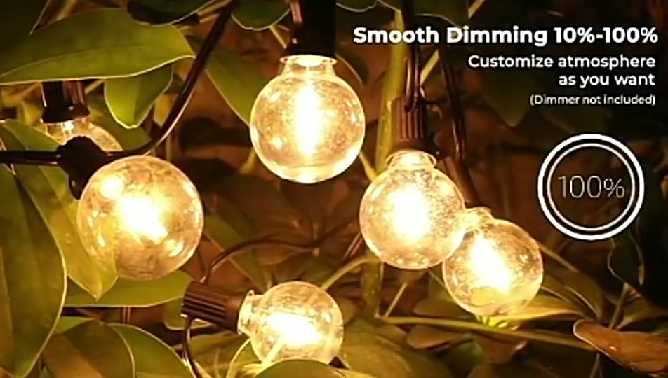 Lampu string luar ruangan filamen globe G40 terbaik yang dipimpin karangan bunga Harga Pabrik Ringan - Wenda Deco 1