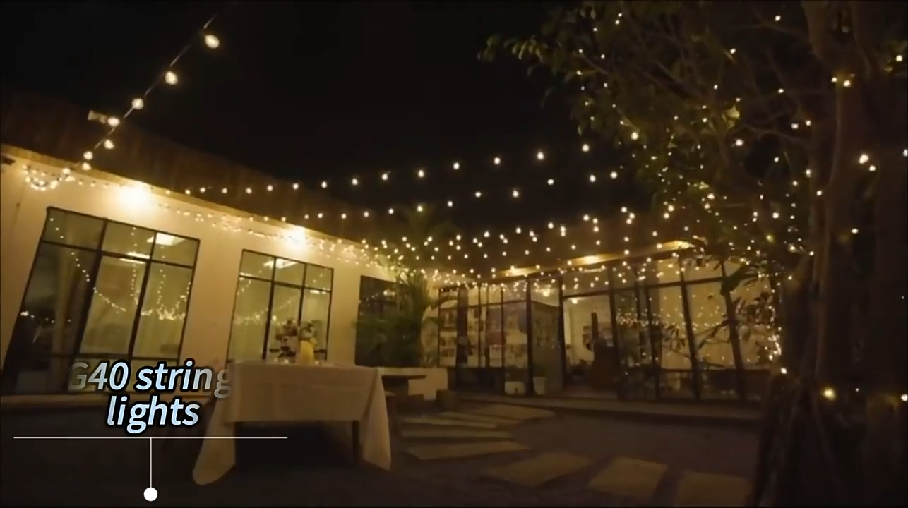 Produttori esterni di luci a festoni a led in Cina - Wenda Deco 1