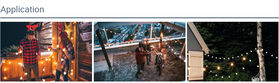 Produttori di luci da giardino a festoni personalizzati dalla Cina | Wenda Deco 7