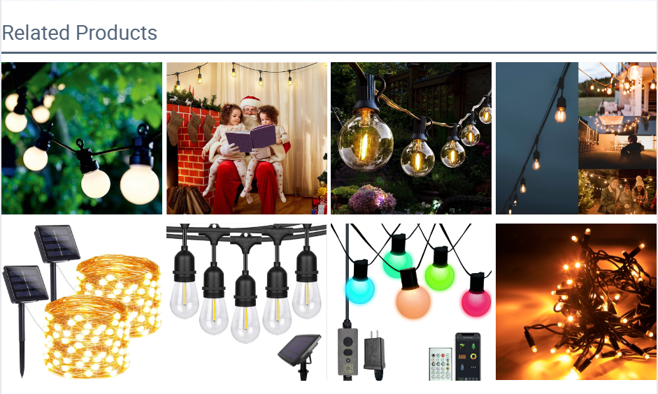 Produttori di luci da giardino a festoni personalizzati dalla Cina | Wenda Deco 14