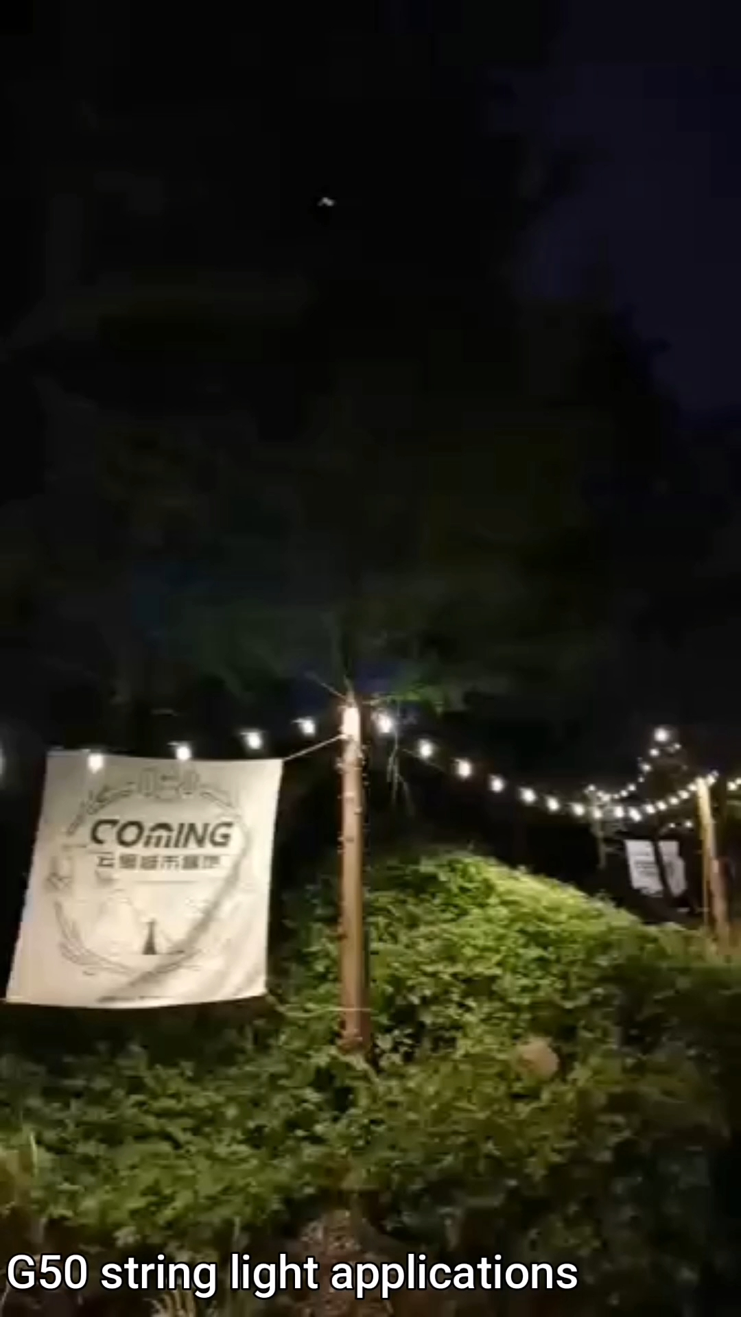 Lampu string G50 tahan air IP44 lampu hias led produsen luar ruangan | Wenda Deco 1