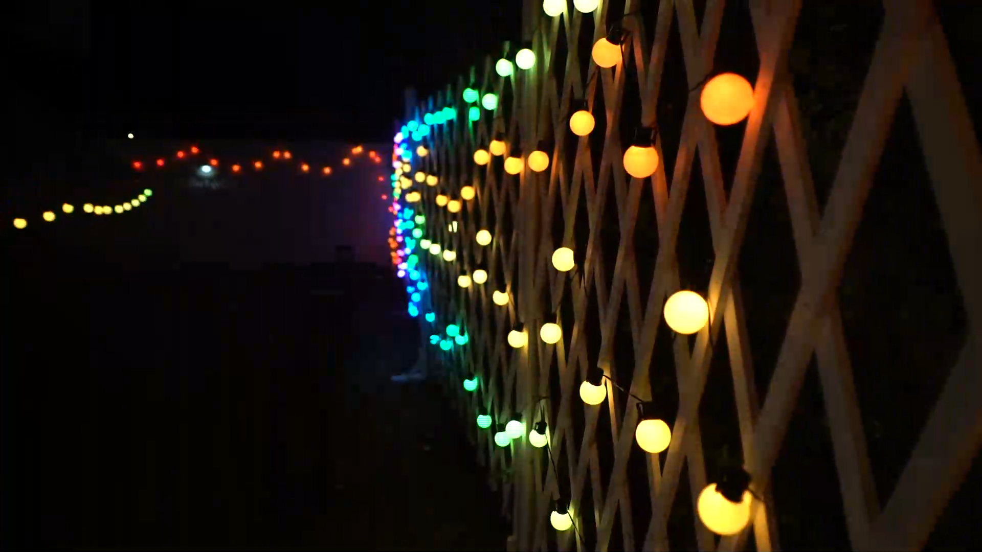 WENDADECO New products Christmas G40 globe bulb smart string lights outdoor decoration mobile phone control 1