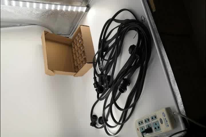  Quality E27 Lamp Led Festoon Bulb String Light For Holiday And Christmas Light Holder Belt Flat cable Belt lights Manufacturer | Wenda Deco 