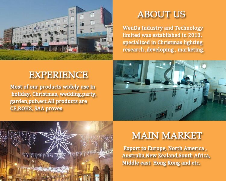 Led Lighting E14 Base Holiday Bulb for Outdoor Decoration 0.18W 14V 24V Christmas Full Glue IP65 Waterproof CE ROHS IP44 -20--40 34