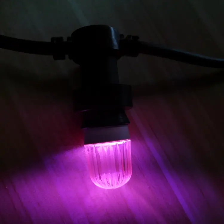 Custom Led Bulb Manufacturer >100(Pieces):Negotiable(days) Wenda Deco 7