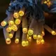 Hotbattery Led Christmas Lights 1 - 100(Pieces):15(days) Wenda Deco Brand 6