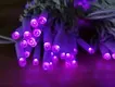 Hotbattery Led Christmas Lights 1 - 100(Pieces):15(days) Wenda Deco Brand 7