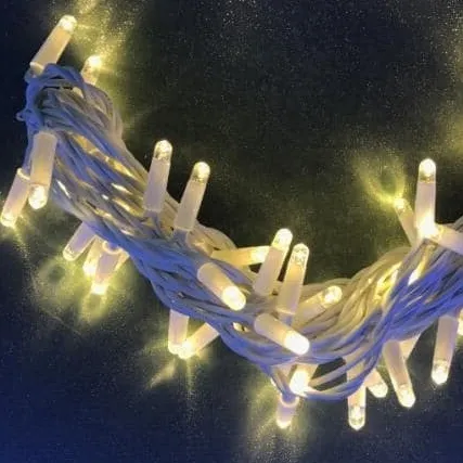 Wenda Deco Led Copper String Lights - >=500 PiecesUS.2 2
