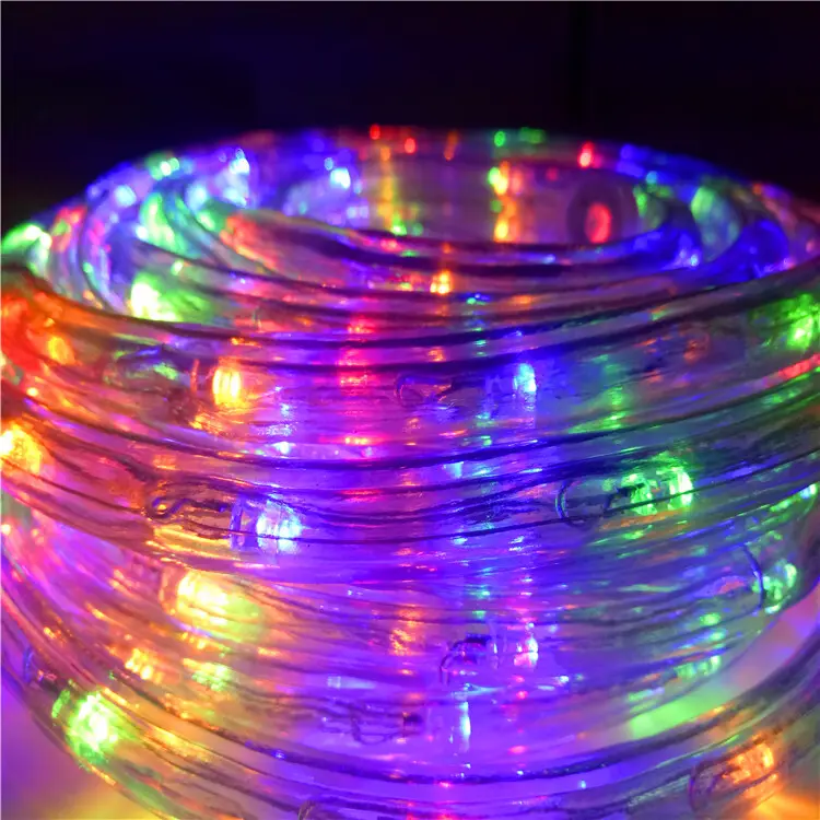 Wenda Deco Led Rope Lights Outdoor 3