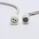 Hotled Twinkle Lights 1 - 500(Pieces):7(days) Wenda Deco Brand 6