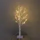 Wenda Deco Color Changing Christmas Lights - 1 - 1000(Sets):20(days) 2