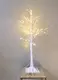 Wenda Deco Color Changing Christmas Lights - 1 - 1000(Sets):20(days) 4