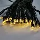 Outdoor String Garden Lights 1000-4999 PiecesUS.2 Wenda Deco Company 3