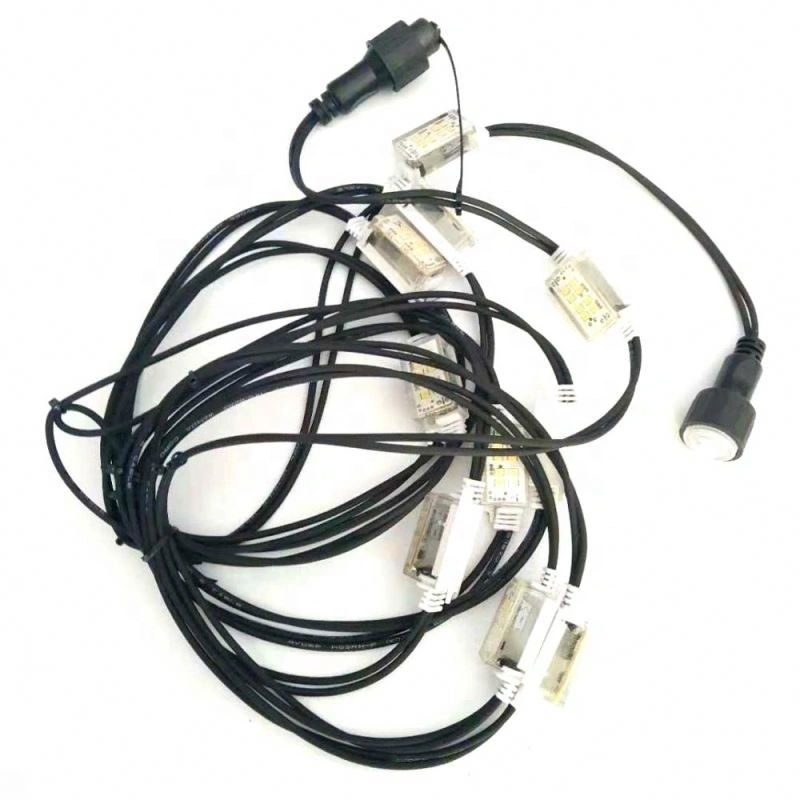 WENDA - 220V 5m 10 bulbo cabo preto à prova d'água Luz de corda intermitente para uso ao ar livre Luz de corda de flash explosiva 1