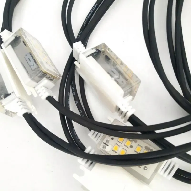 Custom Festoon Party Lights >500(Pieces):Negotiable(days) Wenda Deco 4