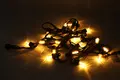 Wenda Deco Brand Wholesale Festoon Lights Supplier 5