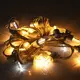 Wenda Deco Brand Wholesale Festoon Lights Supplier 6