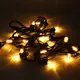 Wenda Deco Brand Wholesale Festoon Lights Supplier 7