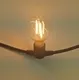 Low Voltage Festoon Lights Wenda Deco,>=5000 SetsUS.0 6