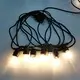 Wenda Deco Brand Festoon Lights Factory Supplier 3