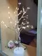 Hot Solar Powered Christmas Lights >=100000 PiecesUS.9 Wenda Deco Brand 5