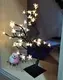Hot Solar Powered Christmas Lights >=100000 PiecesUS.9 Wenda Deco Brand 6