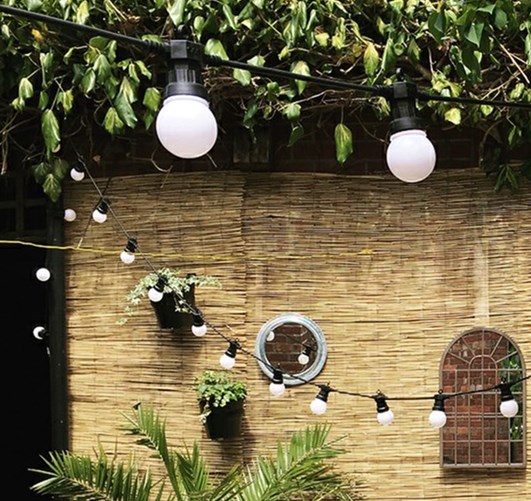 Qualität Multifunktionale Kühlschranklampe E14 für den Großhandel Hersteller | Wenda Deko 35