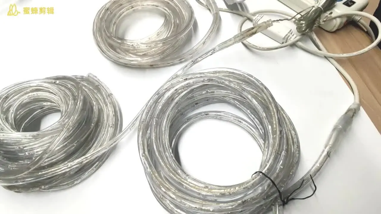 110v 220v Waterproof flex rope lights PVC multicolor led rope light outdoor 10m 100m Christmas decoration rope led lights 1
