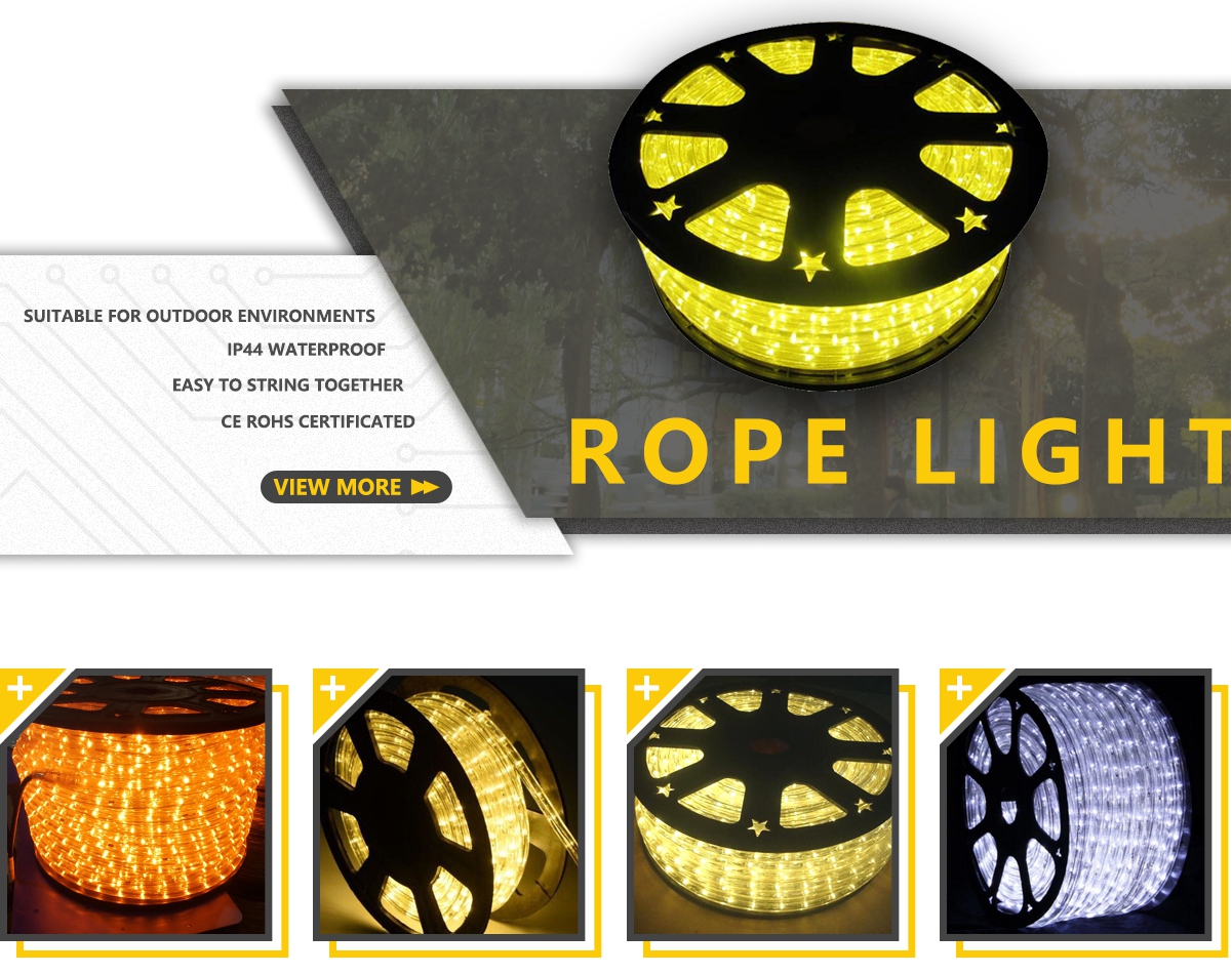 110v 220v Waterproof flex rope lights PVC multicolor led rope light outdoor 10m 100m Christmas decoration rope led lights 14