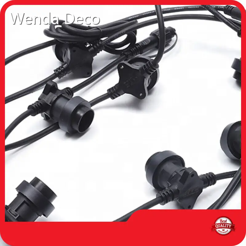 Wenda Deco Brand Low Voltage Festoon Garden Lights Supplier 1