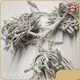 Hotcolor Changing Curtain Lights >=500 PiecesUS.5 Wenda Deco Brand 1