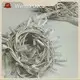 Wenda Deco Best Outdoor Led String Lights 1