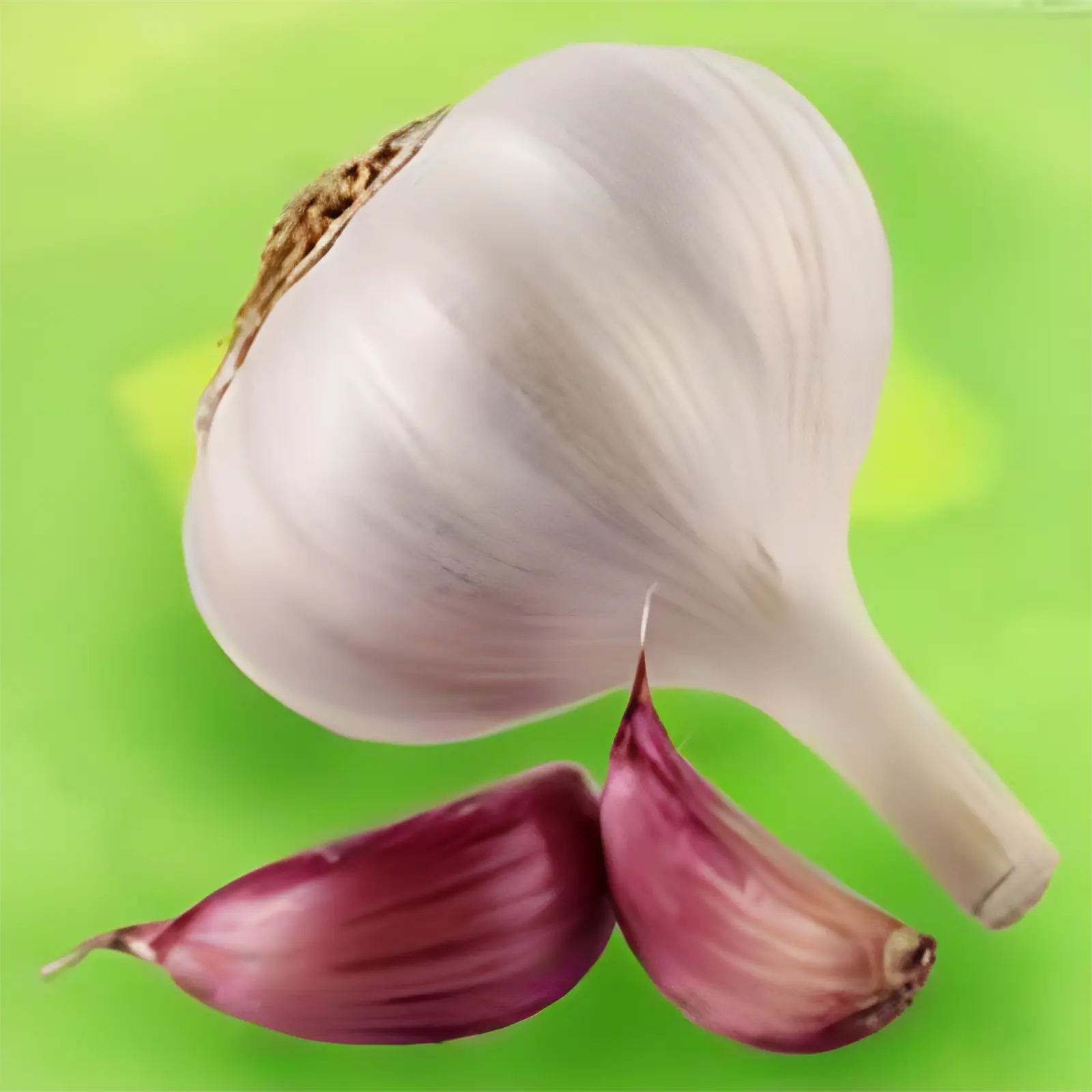 Herb Extract Supplier - - Acmey-1 1