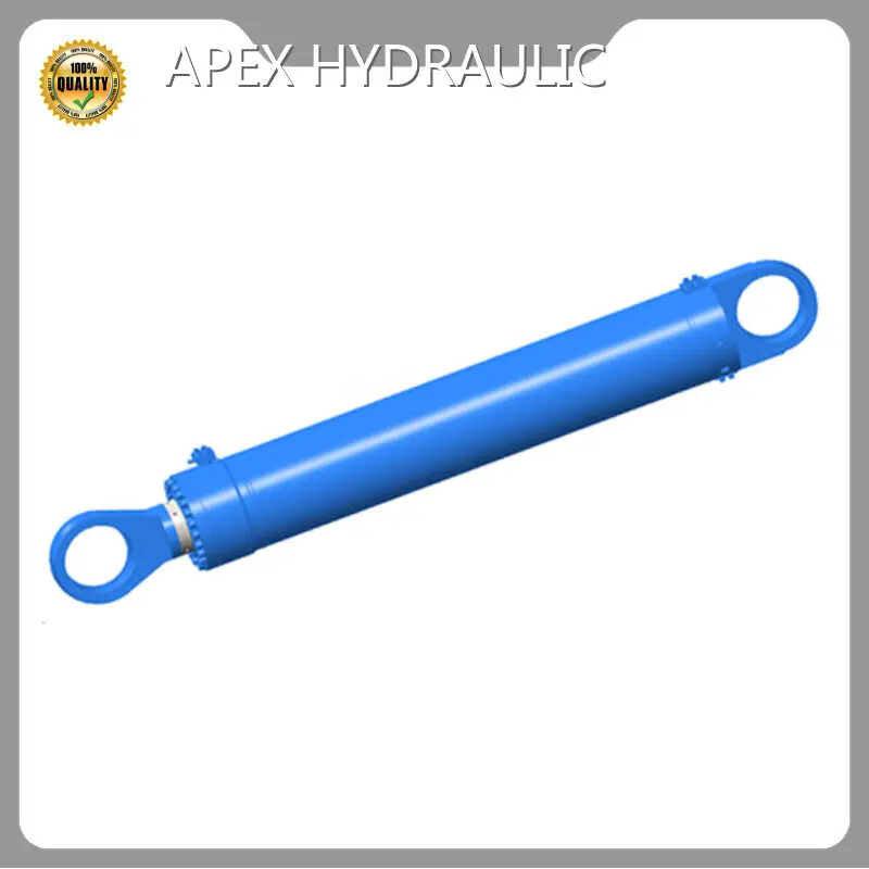 Dernier vérin de levage électrique robuste 50 kg APEX HYDRAULIC Company 1