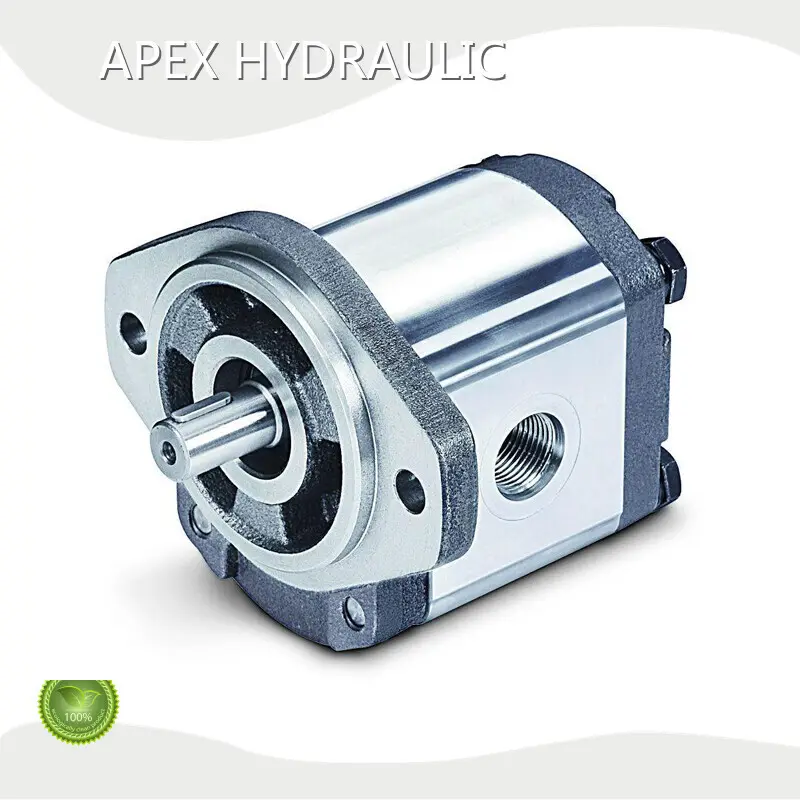 Dernière pompe hydraulique à double effet de 12 volts APEX HYDRAULIC Company 1