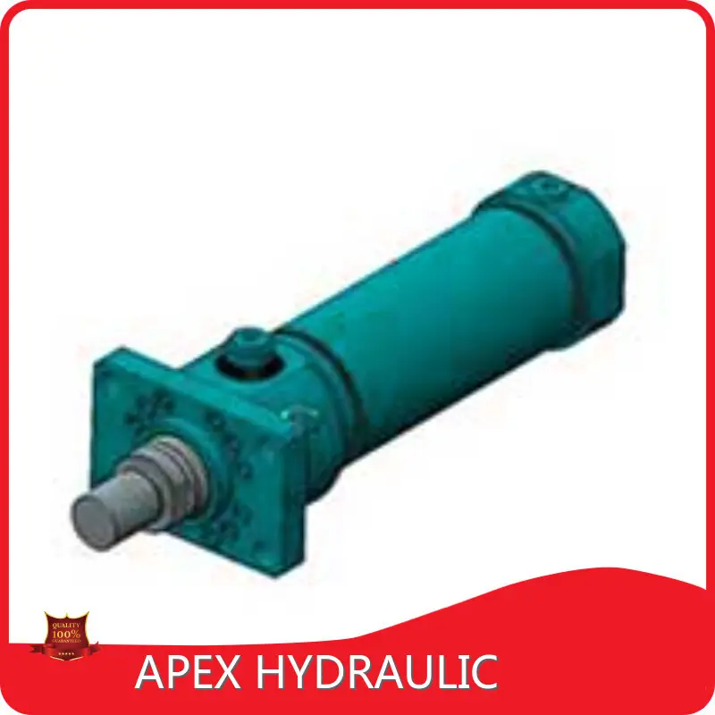 맞춤형 헤비듀티 유압 실린더 제조업체 120mm APEX HYDRAULIC 1