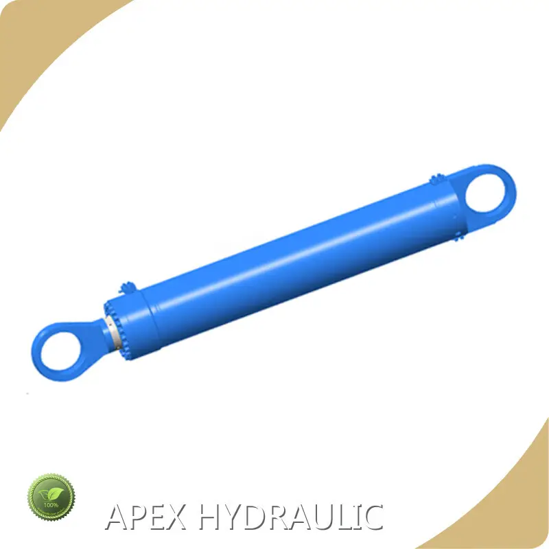 Cylindre hydraulique de frein de presse 600 MmSupply 1