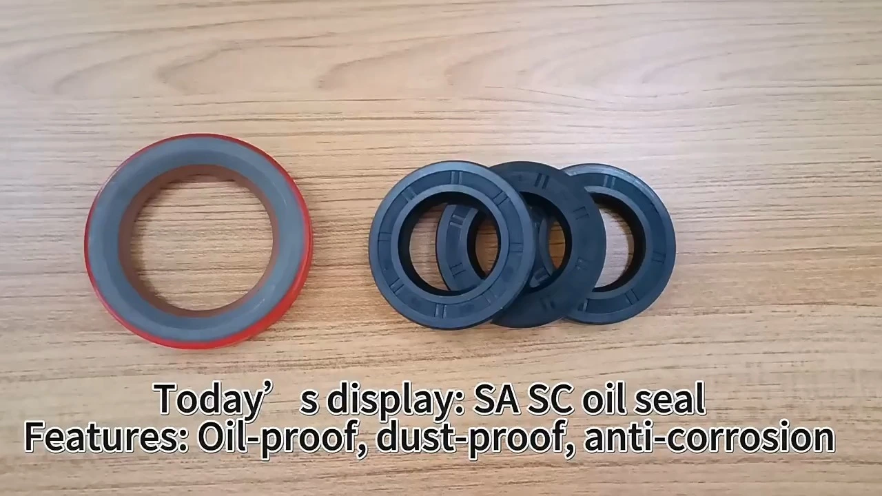 Friction Chemical Corrosion Resistant SA SC Oil Seal 1
