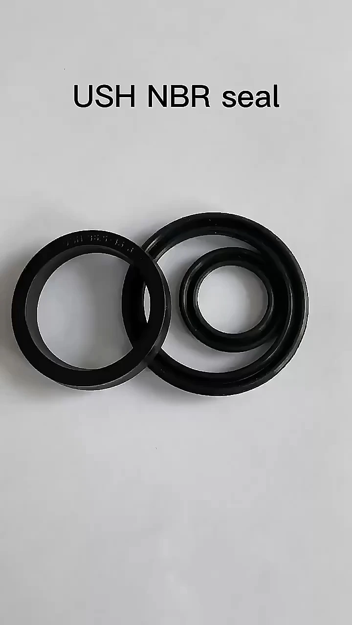 Hydraulic Cylinder Piston Seal and Rod Seal 1