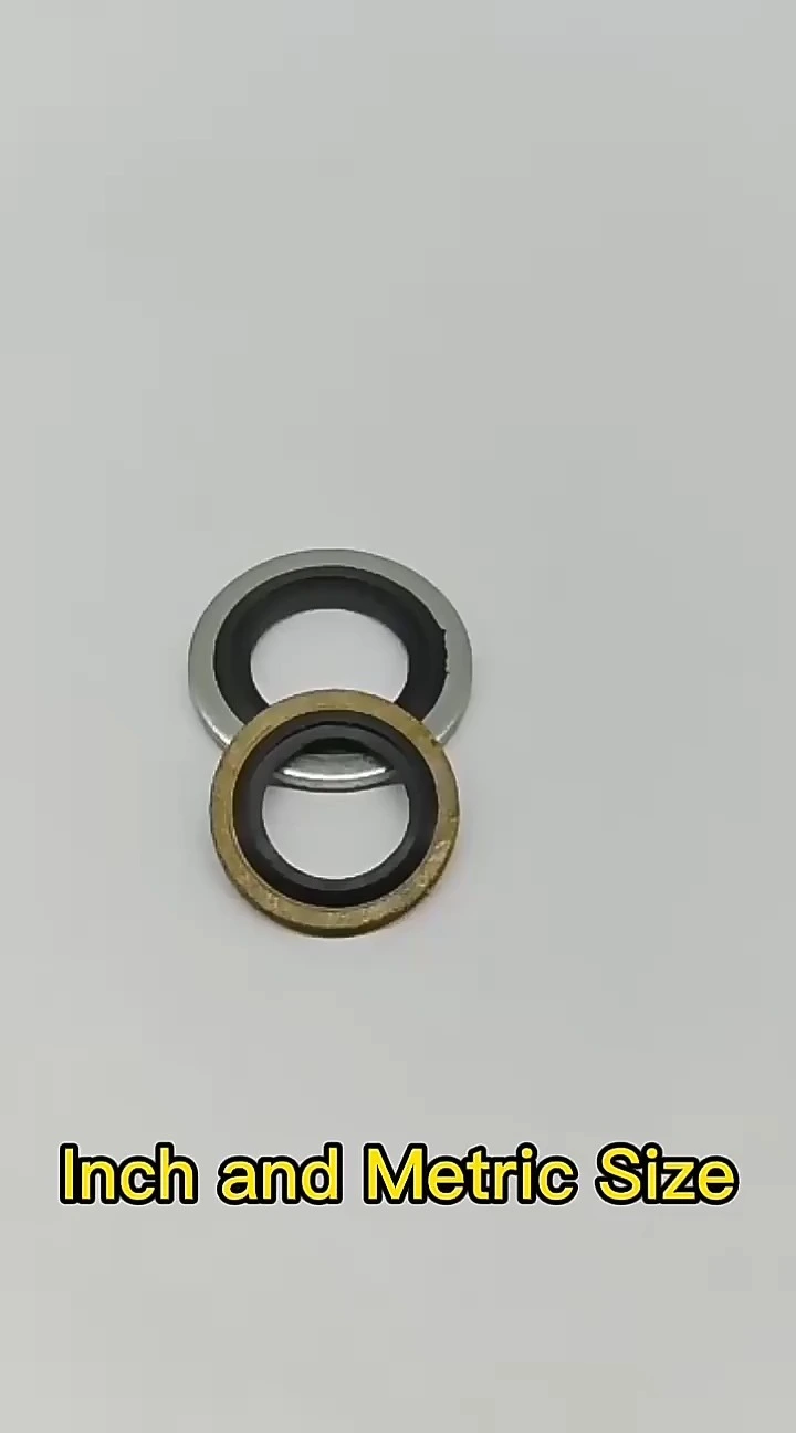 Hydraulische USIT-Verbunddichtung 1