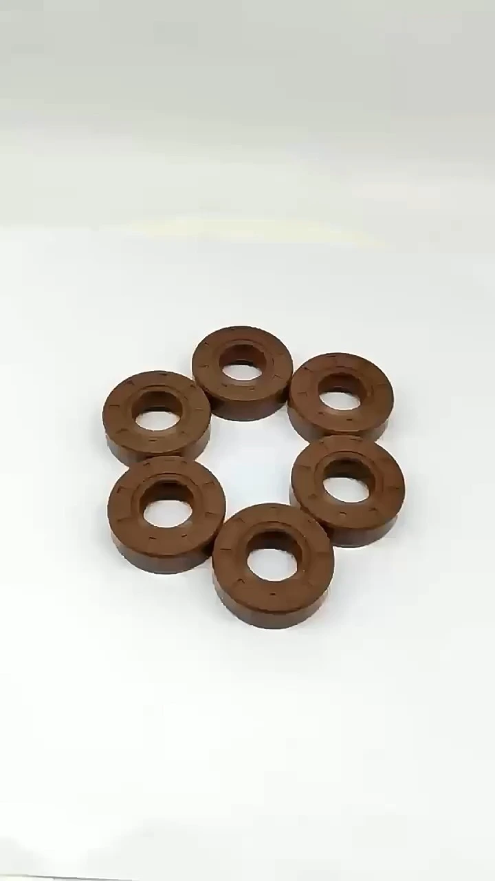 High quality Hydraulic TC FKM rubber oil seal 1